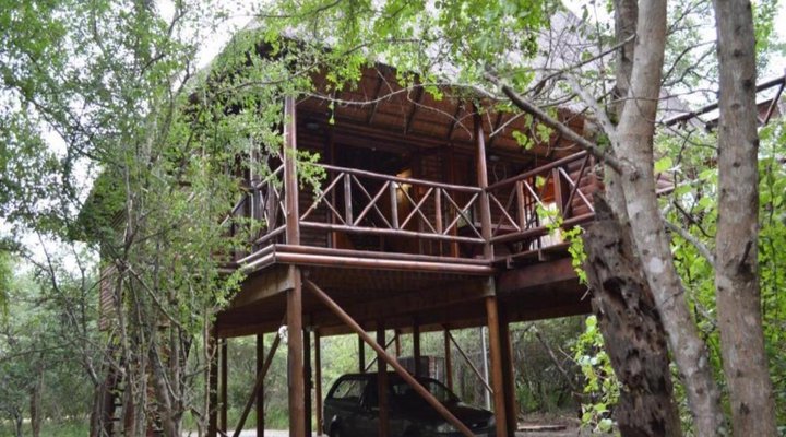 Lion Tree Bush Lodge