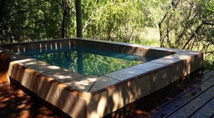 Lion Tree Bush Lodge