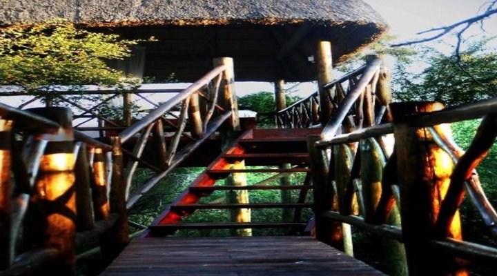 Lion Tree Bush Lodge