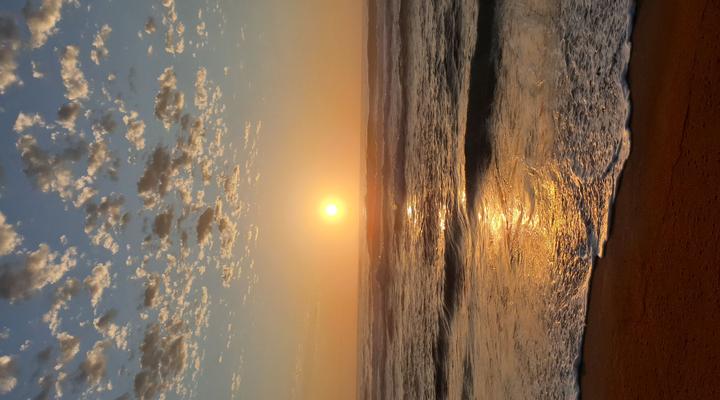 Kingfisher By The Sea