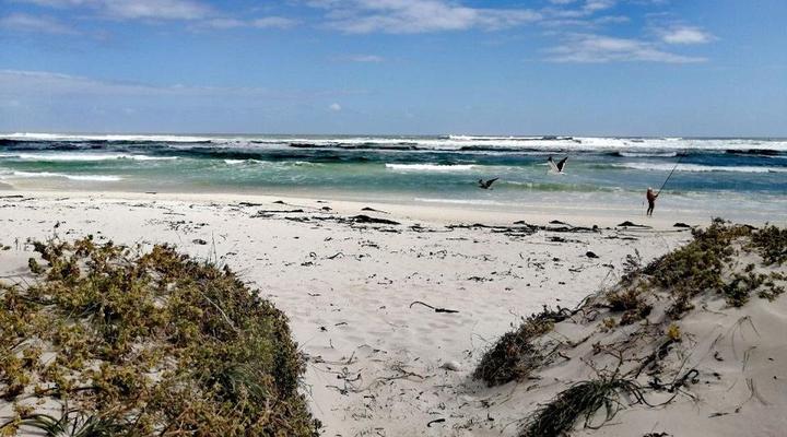 Ons Strandhuisie N5 in Pearly Beach