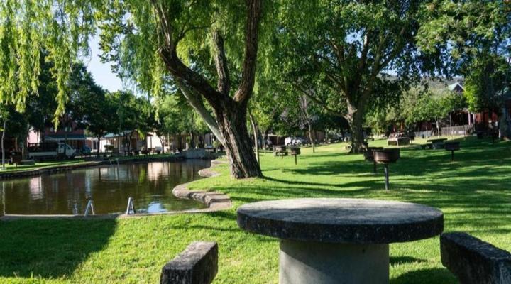 De Hollandsche Molen