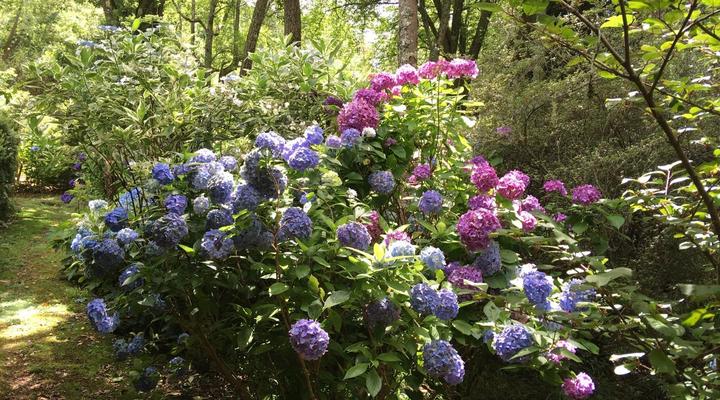 Bramber Cottage Hogsback - Living With Joy!