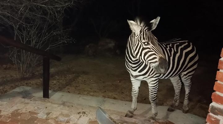 Villa de Leeu, Perfect for Two!