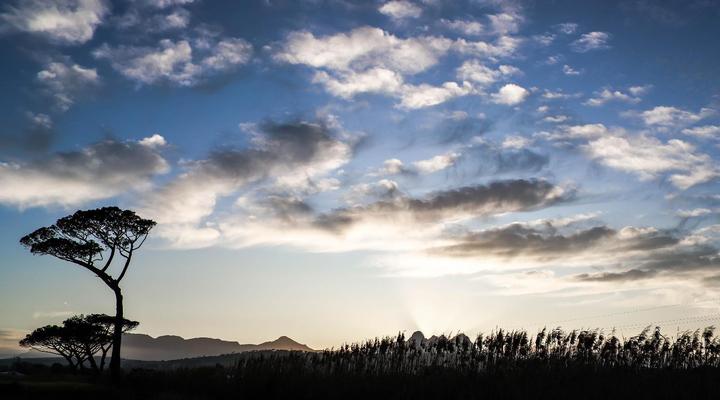 Vergenoegd Löw Boutique Hotel & Spa