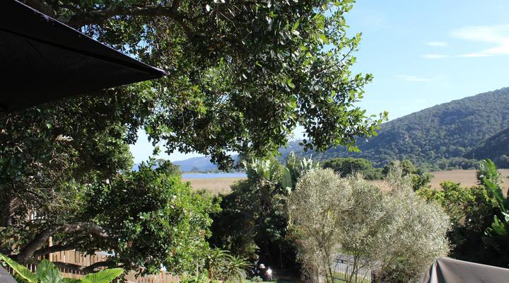 The Wild - in Wilderness