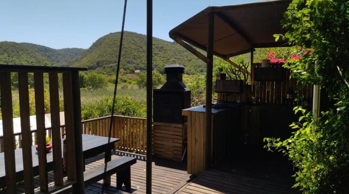 The Wild - in Wilderness