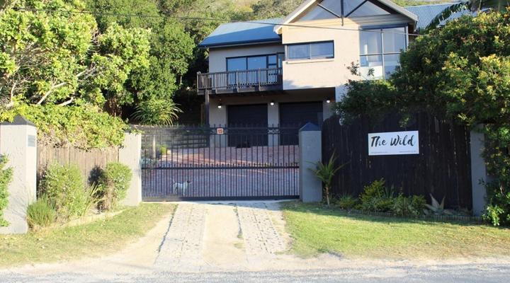 The Wild - in Wilderness