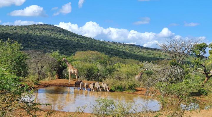Somkhanda Big 5 Game Reserve