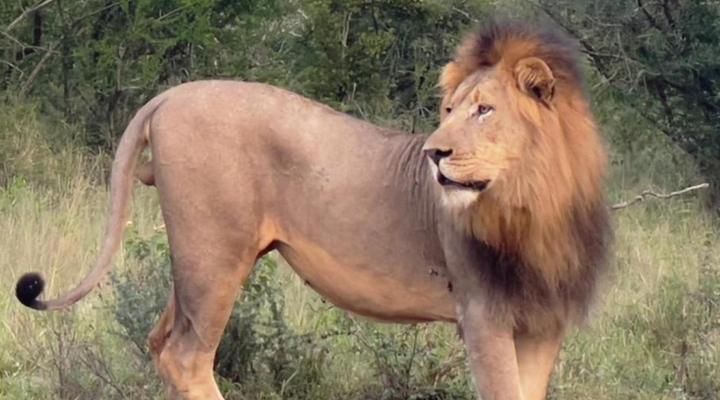 Somkhanda Big 5 Game Reserve