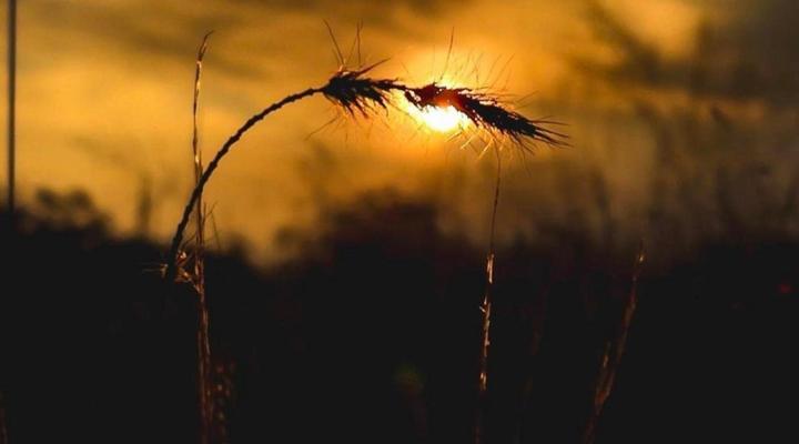 Somkhanda Big 5 Game Reserve