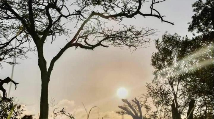 Somkhanda Big 5 Game Reserve