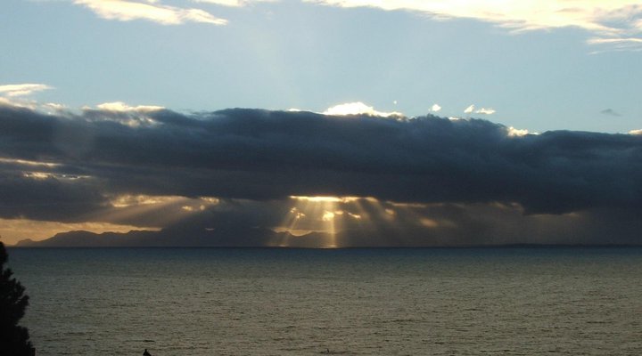 WhaleViews