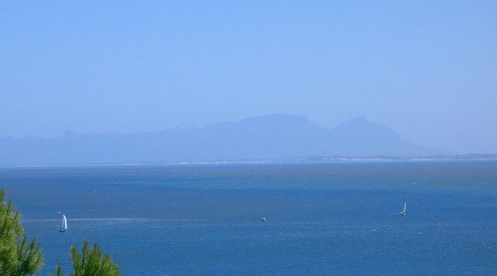 WhaleViews