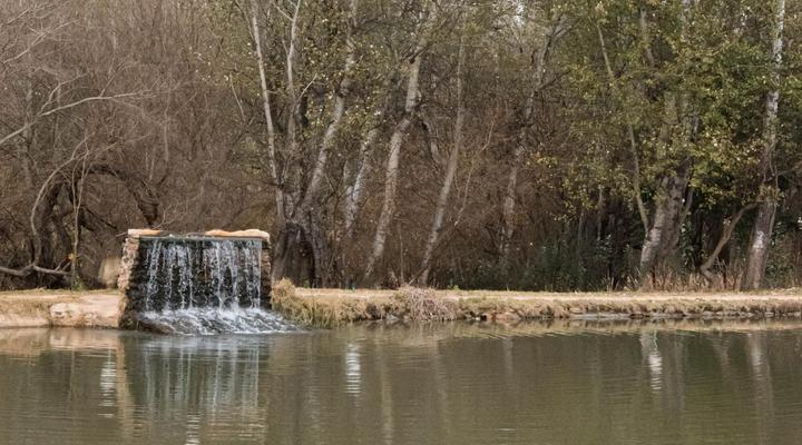 Ivory Tree Lodge and Guest House