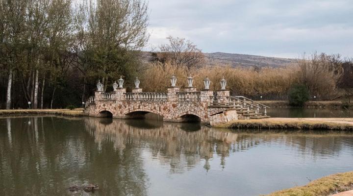 Ivory Tree Lodge and Guest House