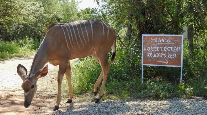 Kruger's Retreat and Kruger's Rest