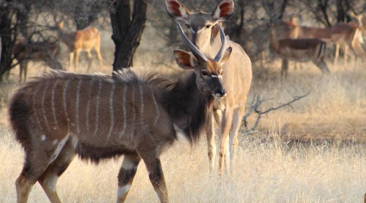 Tula Baba Guest Lodge