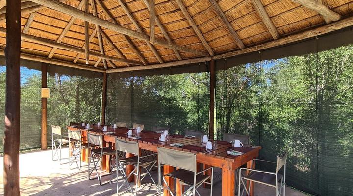  Wild Olive Tree Camp