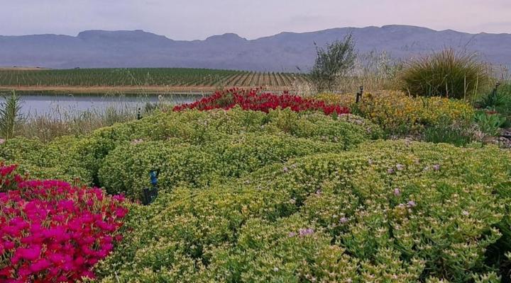 Vadersgawe Farm Camp