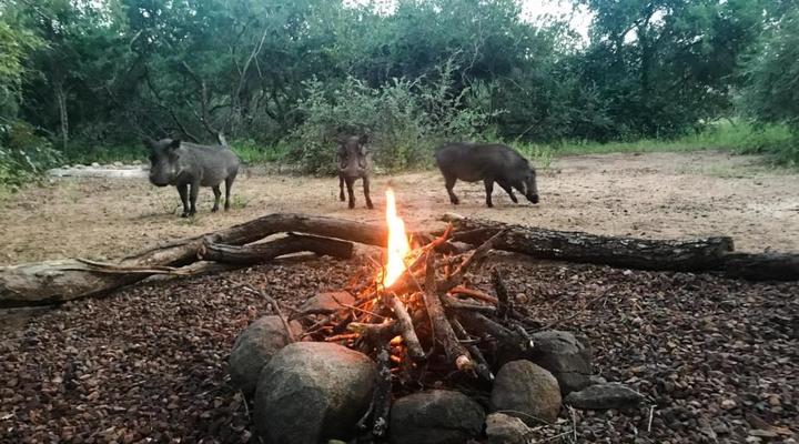Hello Kruger Hideaway