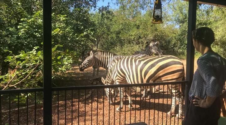 Hello Kruger Hideaway