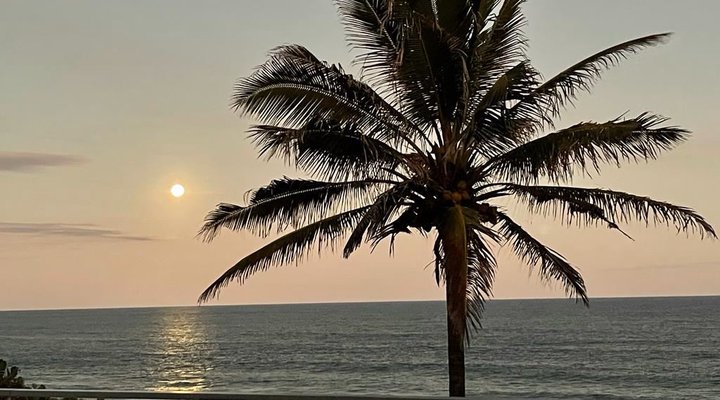 Martinique 41, Ballito