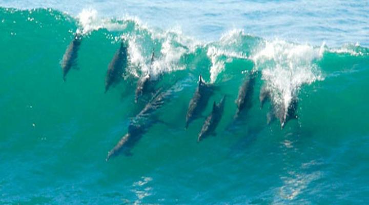 Umdloti - Escape to a Beach Haven