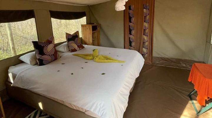  Wild Olive Tree Camp