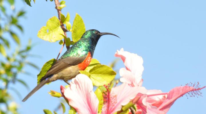 Hildesheim Guest Lodge