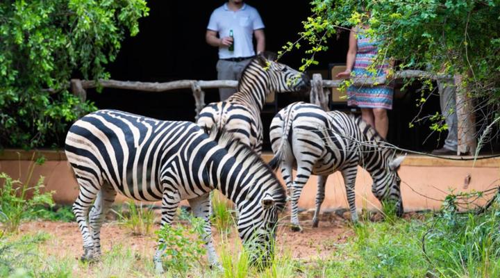 Leopard Walk Lodge