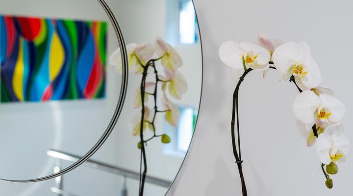 Villa Afrikana Guest Suites