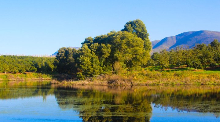 Toorbos Self catering