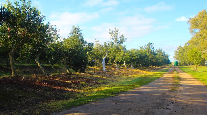 Toorbos Self catering