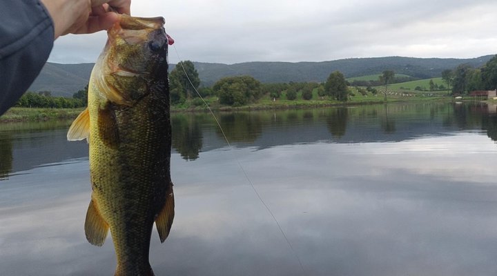 Toorbos Self catering