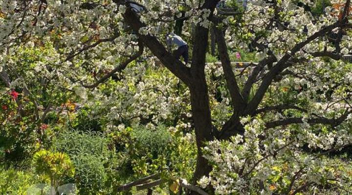 81 on Church Guest House