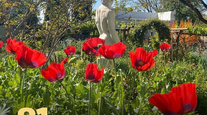 81 on Church Guest House