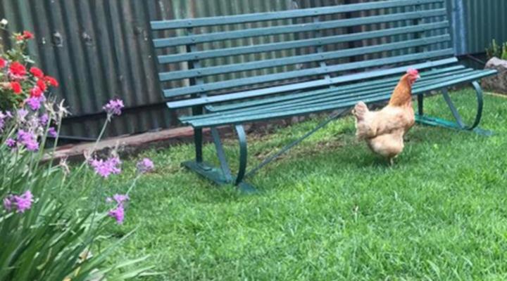 Tuscana Villa Guest House