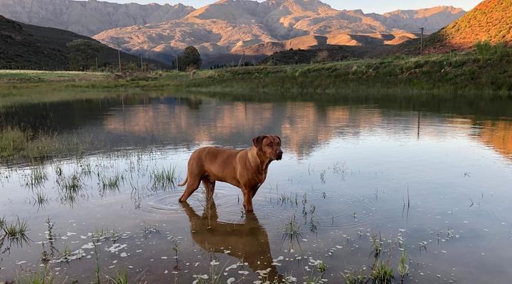 Koedoeskloof Guesthouse