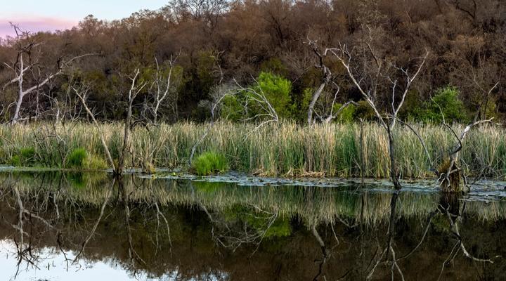 Entabeni Hospitality