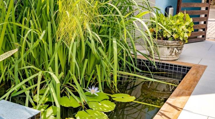 Leisure Time Rentals Sanbonani