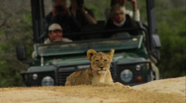 Amakhala - Bush Lodge