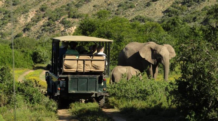 Leeuwenbosch Country House – Amakhala Game Reserve