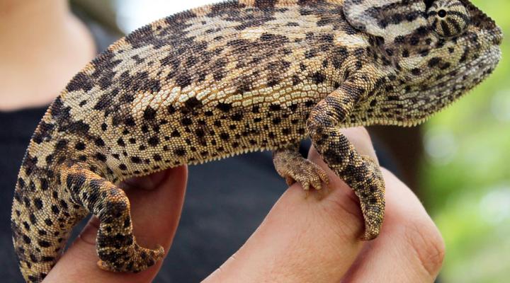 Pan's Breeze Overnight Accommodation