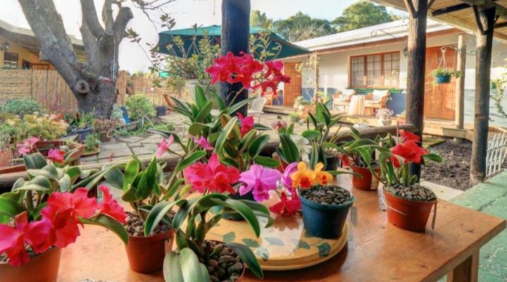Outeniqua Travel Lodge