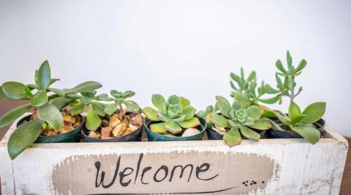 The Lenox Guesthouse