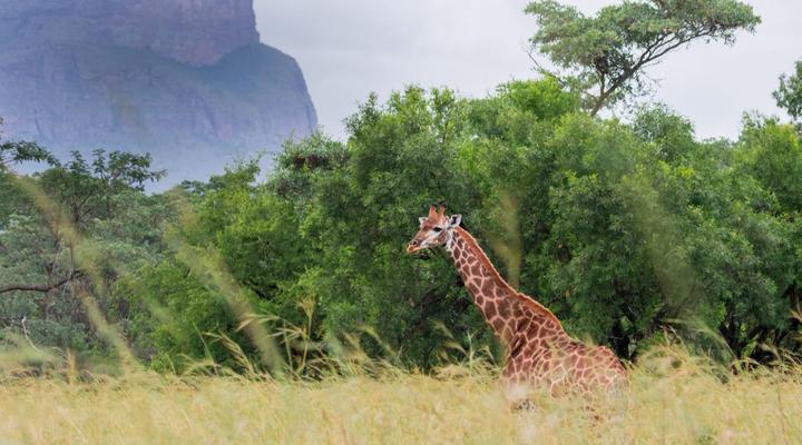 Vilagama Private Game Lodge