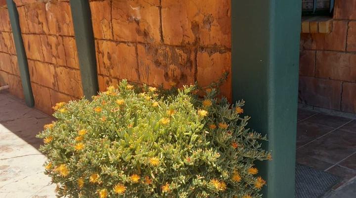 Gemsbokfontein Gasteplaas