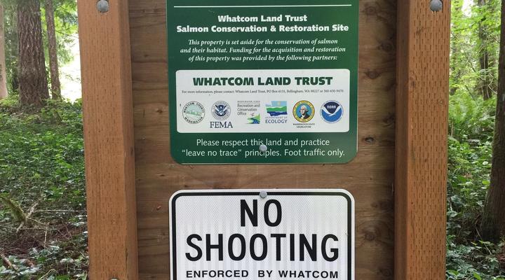 #89 Glacier Springs Cabin