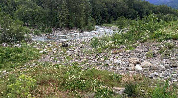 #89 Glacier Springs Cabin